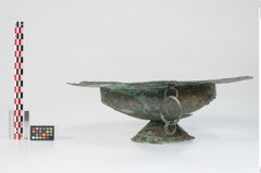 Foto von Bronzebreitrandfußschale (NHMW-PRAE-024138)